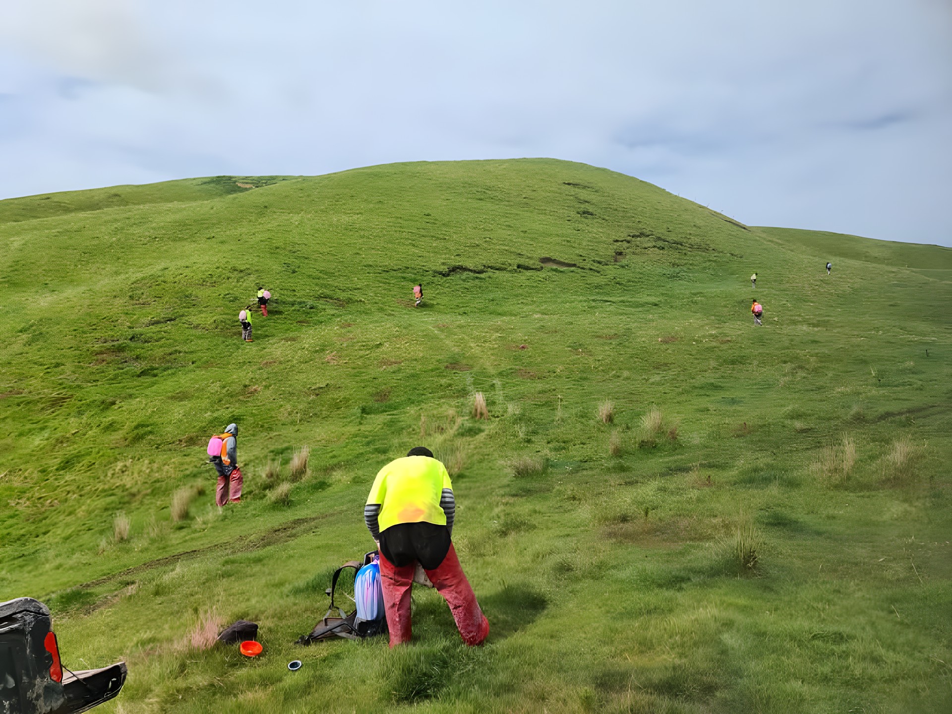 Planting on an open grassy hill